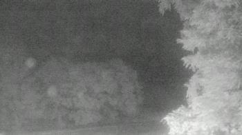 Weather camera view of Chestnut Ridge Metro Park.